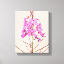 Arte moderno floral boho flores silvestres rosadas