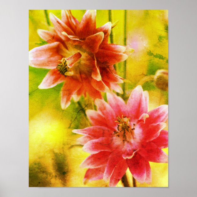 Arte Molesto De Flores Rojas Y Blancas (Frente)