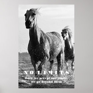 Arte motivacional sin límites para los caballos bl