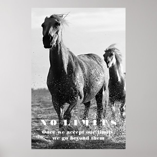 Arte motivacional sin límites para los caballos bl (Frente)