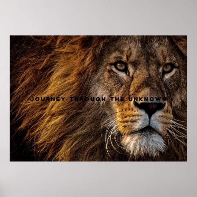 Arte motivacional y Inspirador de Lion Faux C (Frente)