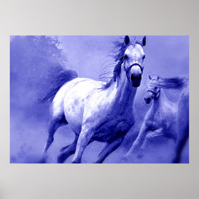 Arte Motivador de Caballos Azules Salvajes (Frente)