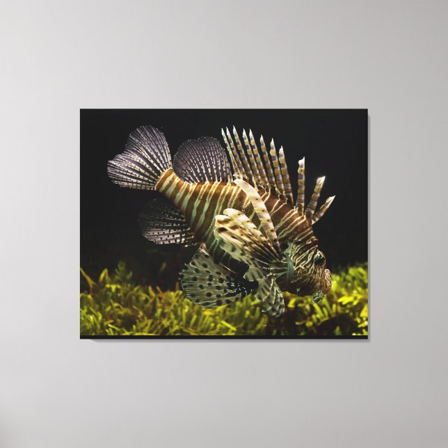 Arte mural (Anverso)