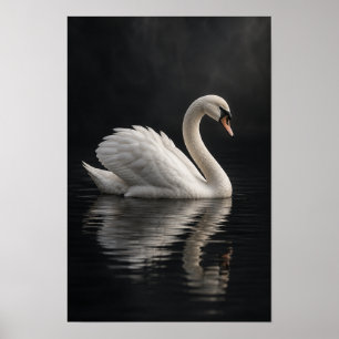 Arte mural de cisne blanco mudo sobre agua oscura