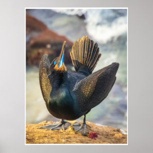 Arte mural de cormorán   Impresión de ave costera