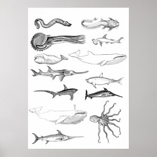 Arte mural de criaturas marinas