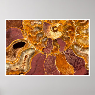 Arte mural de fósil de ammonite | Abstracto en ton