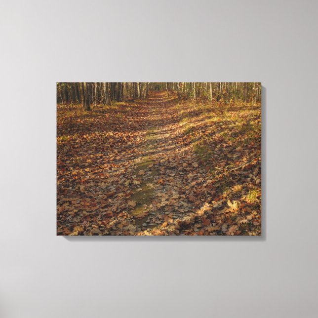 Arte mural de hojas de otoño (Anverso)