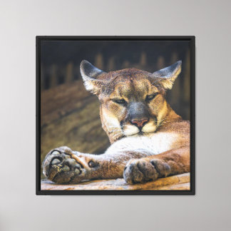Arte mural de león de montaña | Impresión de gato