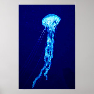 Arte mural de medusas impresión de póster