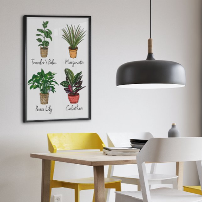 Arte mural de plantas de la casa dibujadas a mano (Subido por el creador)