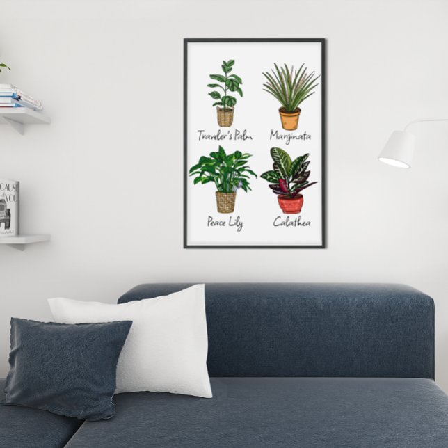 Arte mural de plantas de la casa dibujadas a mano (Subido por el creador)