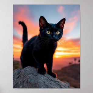 Arte mural de silueta de gato negro al atardecer