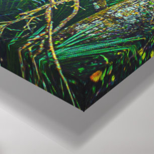 Arte mural "Florida Backwoods"