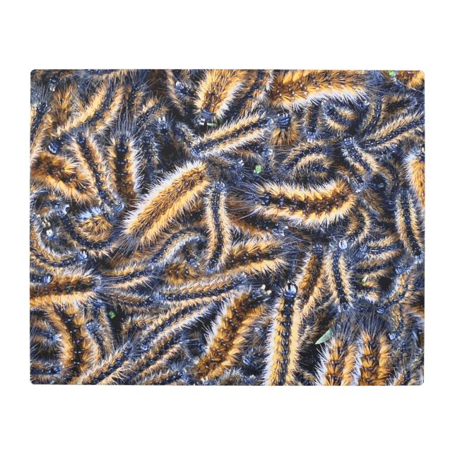 Arte mural metalizado (Anverso)