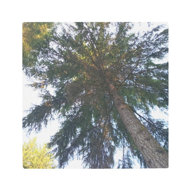 Arte mural metalizado (Anverso)