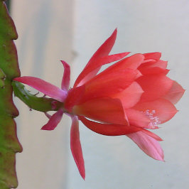 Arte mural metalizado