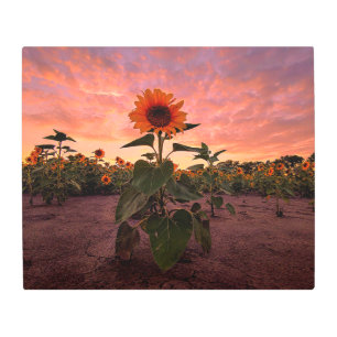 Arte mural Metalizado 24x20