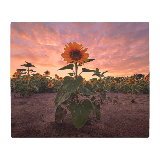 Arte mural Metalizado 24x20 (Anverso)