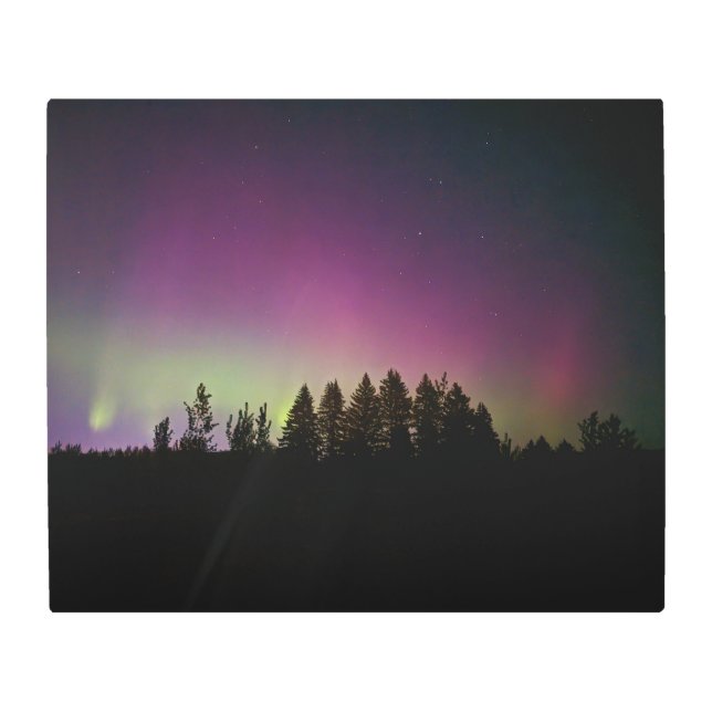 Arte mural Metalizado 24x20 (Anverso)