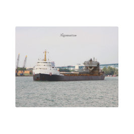 Arte mural metalizado argelino