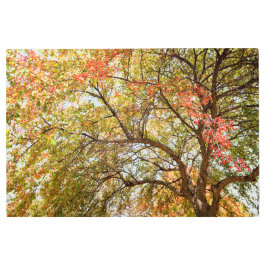 Arte mural Metalizado de 36x24