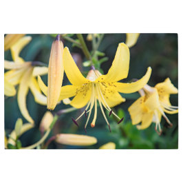 Arte mural Metalizado de 36x24