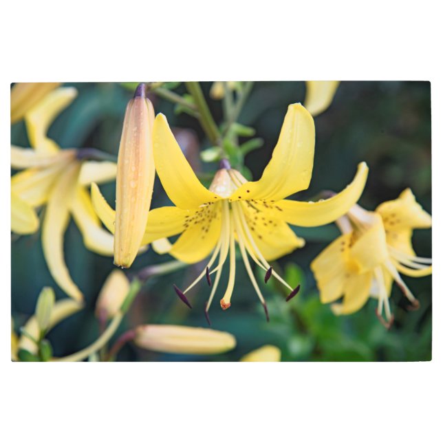 Arte mural Metalizado de 36x24 (Anverso)