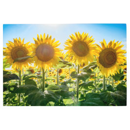 Arte mural Metalizado de 36x24