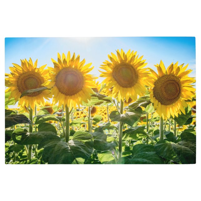 Arte mural Metalizado de 36x24 (Anverso)