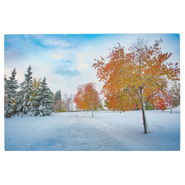 Arte mural Metalizado de 36x24