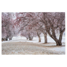 Arte mural Metalizado de 36x24