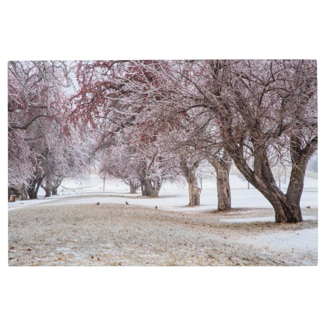 Arte mural Metalizado de 36x24 (Anverso)