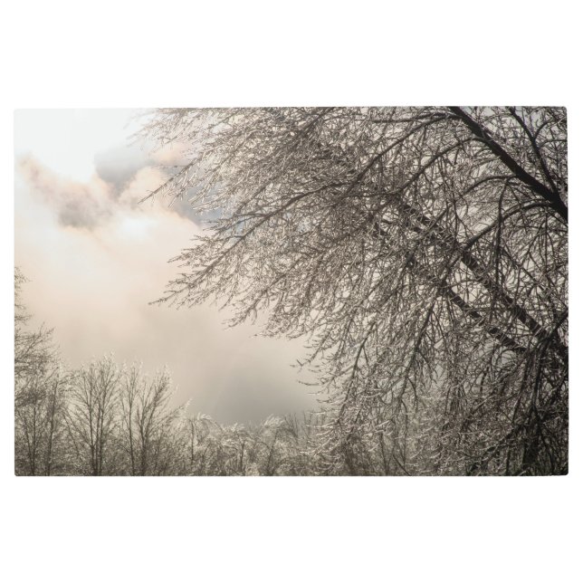 Arte mural Metalizado de 36x24 (Anverso)