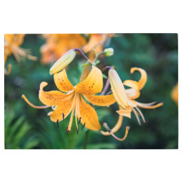 Arte mural Metalizado de 36x24