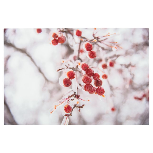 Arte mural Metalizado de 36x24 (Anverso)