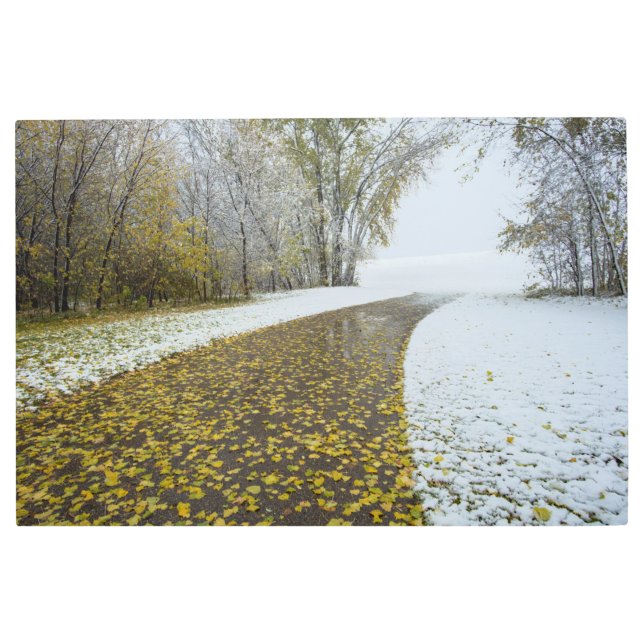 Arte mural Metalizado de 36x24 (Anverso)