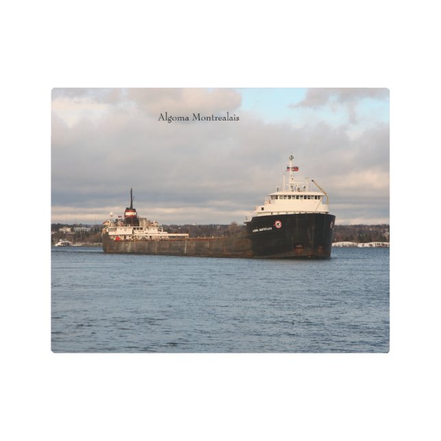 Arte mural metalizado de Algoma Montrealais (Anverso)