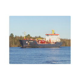 Arte mural metalizado de Algonova