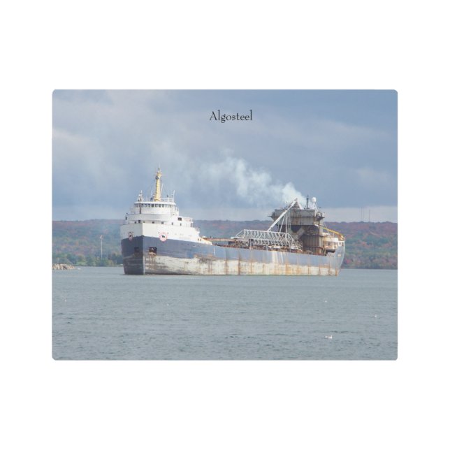 Arte mural metalizado de Algosteel (Anverso)