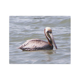 Arte mural metalizado de Brown Pelican