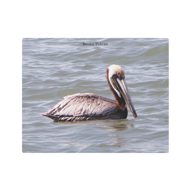 Arte mural metalizado de Brown Pelican (Anverso)