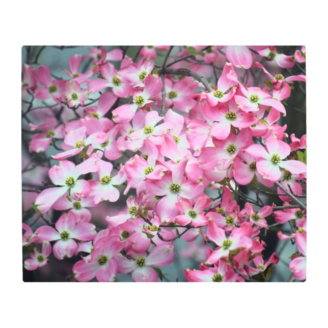 Arte mural Metalizado de Dogwood rosa (Anverso)
