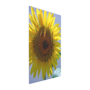 Arte mural Metalizado de girasol, 20" x 24"