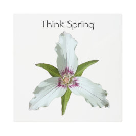 Arte mural Metalizado de la primavera del Trillium