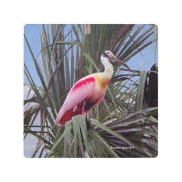 Arte mural metalizado de Roseate Spoonbill