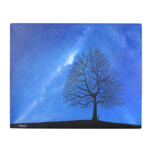 Arte mural metalizado - "El cielo declara"