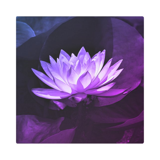 Arte mural Metalizado Purple Lotus (Anverso)