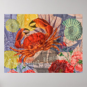Arte náutico de playa de mariscos Cangrejo