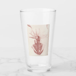 Arte Náutico Vintage Squid